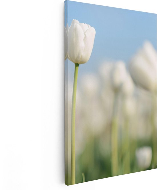 Artaza Canvas Schilderij Witte Tulpen - Bloemen - 80x120 - Groot - Foto Op Canvas - Canvas Print