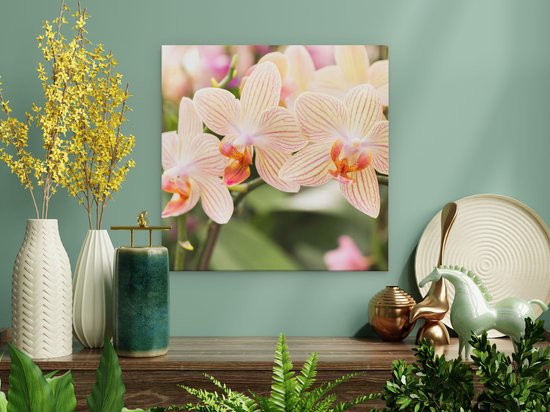 Artaza - Peinture sur Toile - Fleurs d'Orchidées Witte Rayées - 40x40 - Klein - Photo sur Toile - Impression sur Toile