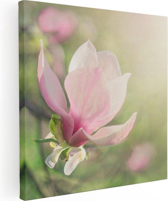 Artaza Canvas Schilderij Roze Magnolia Bloem  - 60x60 - Foto Op Canvas - Canvas Print