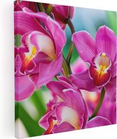 Artaza Canvas Schilderij Licht Paarse Orchidee Bloemen  - 70x70 - Groot - Foto Op Canvas - Canvas Print