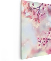 20 cm x 30 cm