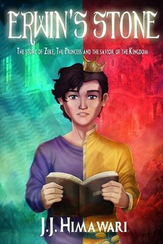 Sucked inside the book Erwin's Stone - cover