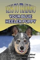 Keys To Training Your Blue Heeler Puppy: What You Need To Know About Training Blue Heeler Puppies