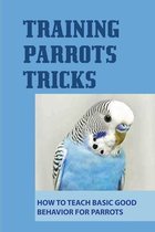 Training Parrots Tricks: How To Teach Basic Good Behavior For Parrots