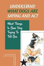 Understand What Dogs Are Saying And Act: What Things Is Your Dog Trying To Tell You