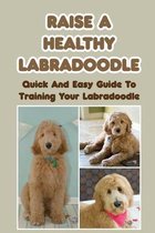 Raise A Healthy Labradoodle: Quick And Easy Guide To Training Your Labradoodle