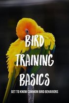 Bird Training Basics: Get To Know Common Bird Behaviors