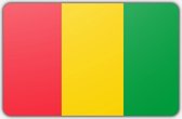 Vlag Guinee (rep.) - 70 x 100 cm - Polyester