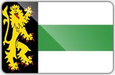 Vlag gemeente Druten - 100 x 150 cm - Polyester