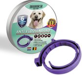 Vlooienband voor honden - Paars - 100% natuurlijk - Vlooien en teken - geschikt voor alle honden - anti allergie - zonder pesticiden