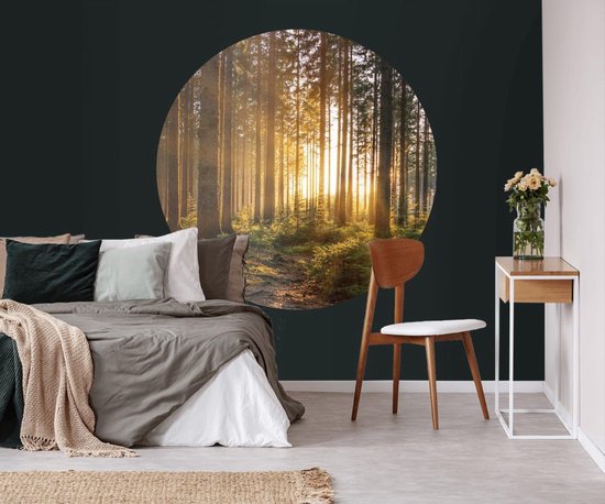 Papier peint cercle 100cm Forêt de conifères avec rayons de soleil