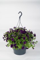 Hangpot Esther - met ingebouwd waterreservoir - 45 cm