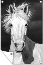 Muurdecoratie Paard in Camargue - zwart wit - 120x180 cm - Tuinposter - Tuindoek - Buitenposter
