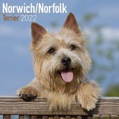 Norfolk Terriers 2022 - 18-Monatskalender mit freier DogDays