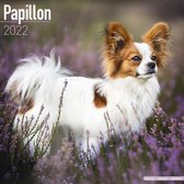 Papillons Kalender 2022