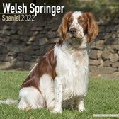 Welsh Springer Spaniel Kalender 2022
