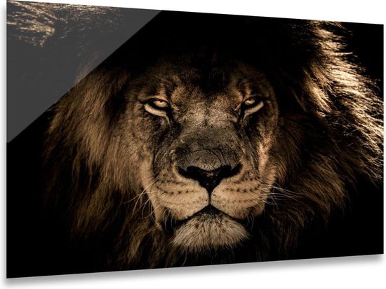 Ter Halle Glasschilderij - leeuw - 160x110 cm - zwart achtergrond