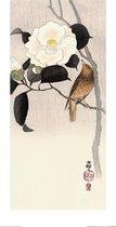 Poster - Ohara Koson Songbird And Flowering Camellia - 60 X 30 Cm - Multicolor