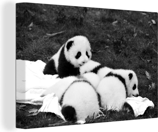 Tableau sur toile Pandas nouveau-nés couchés ensemble - noir et blanc - 180x120 cm - Décoration murale XXL