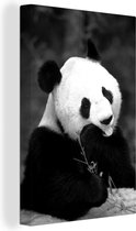 Canvas Schilderij Een etende panda - zwart wit - 40x60 cm - Wanddecoratie