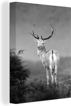 Canvas Schilderij Hert in het bos - zwart wit - 90x120 cm - Wanddecoratie