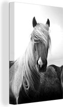 Canvas Schilderij Bont IJslands paard naast het hooi - zwart wit - 20x30 cm - Wanddecoratie