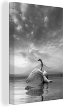 Peintures sur toile - Swan Soaring - noir et blanc - 80x120 cm - Décoration murale Art