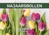 Jub Holland Bloembollen - Tulpen - Narcissen - Allium  - Diverse Luxe Bloembollen - Kerstcadeau - Black Friday 2021