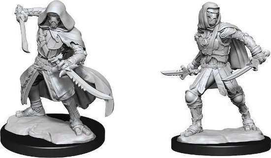WizKids D&D Nolzur's Marvelous Miniatures: Warforged Rogue