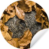 WallCircle - Stickers muraux - Cercle de papier peint - Hérisson - Marron - Feuilles - ⌀ 120 cm - Cercle mural - Autocollant - Sticker papier peint rond XXL
