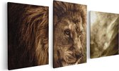 Artaza - Tryptyque Peinture sur Canevas - Lion - Tête de lion - Noir Blanc - 90x60 - Photo sur Toile - Impression sur Toile