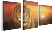 Artaza Canvas Schilderij Drieluik Leeuw In De Savanne - Zonsondergang - 120x60 - Foto Op Canvas - Canvas Print