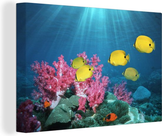 Tableau sur toile Poisson - Corail - Lumière - 90x60 cm - Décoration murale