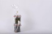 Biologische Thee Cadeautje | Sterrenmunt & Earl Grey