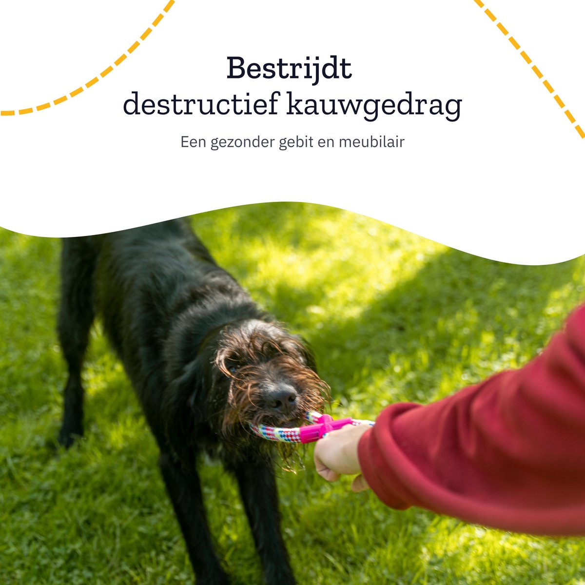 Honden Speelgoed Set - 12 Stuks - Voor Puppy's tot Middelgrote Honden - Interactief Hondenspeelgoed Sterk - Hondenspeeltjes intelligentie - Incl. Hondenbal en Trektouw - Dog Toy - All 4 Pets Supply — afbeelding 7