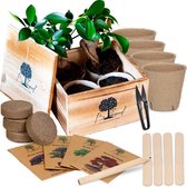 B-seed Starters Kit Incl. e-Book Bonsai Zaden Kweken - Boompje in Pot - Kamerplanten - Kweekset - Cadeau Man & Vrouw - Geschenkset