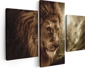Artaza - Diptyque de Peinture sur Canevas - Lion - Tête de lion - Noir Blanc - 120x80 - Photo sur Toile - Impression sur Toile