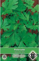 Van Hemert Zaden - Peterselie Gewone Snij (Petroselium crispum)