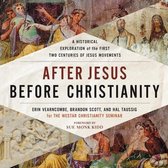After Jesus, Before Christianity Lib/E: A Historical Exploration of the First Two Centuries of Jesus Movements