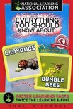 Everything You Should Know About