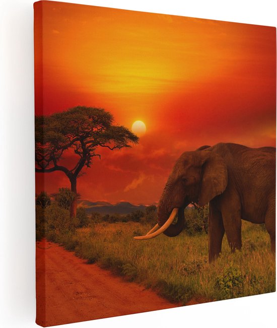 Artaza Canvas Schilderij Olifant In Het Wild Tijdens Zonsondergang - 50x50 - Foto Op Canvas - Canvas Print