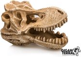 T Rex Schedel | Aquarium decoratie ornament