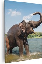 Artaza Canvas Schilderij Vrolijke Olifant In Het Water  - 40x50 - Foto Op Canvas - Canvas Print