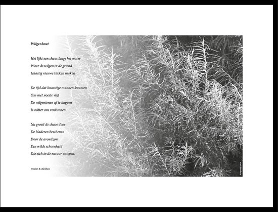 Acacia – Wilgenhout  – maçonniek gedicht in fotolijst zwart aluminium 30 x 40 cm