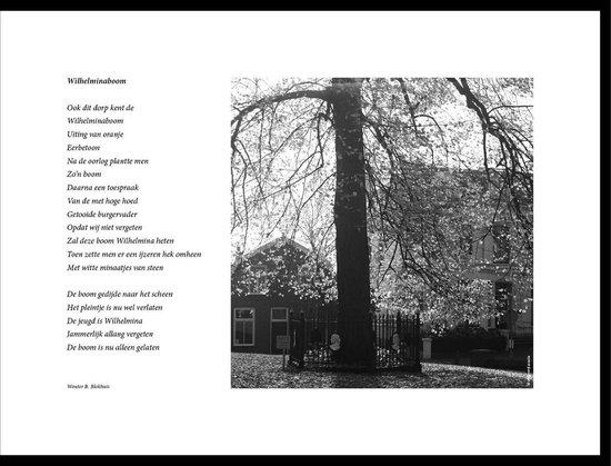 Acacia – Wilhelminaboom  – maçonniek gedicht in fotolijst zwart aluminium 30 x 40 cm