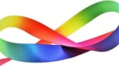 Satijn Lint 22mm (2,2cm) | Satijnlint | Regenboog Lint | Luxe Dubbelzijdige Kwaliteit | Cadeau Lint | Danslint | Rainbow Pride | Rol: 10 Meter