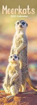 Meerkats - Erdmännchen 2022 Slimline-Kalender