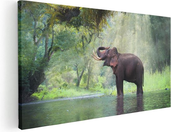 Artaza Canvas Schilderij Vrolijke Olifant In Het Water - 40x20 - Klein - Foto Op Canvas - Canvas Print