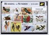 Afbeelding van het spelletje Kolibri's & Honingvogels – Luxe postzegel pakket (A6 formaat) : collectie van 25 verschillende postzegels van kolibri's & koningvogels – kan als ansichtkaart in een A6 envelop - authentiek cadeau - kado - geschenk - kaart  - vogels - zwaluwachtigen