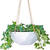 Blumfeldt Laren Hangpot Ø 28 cm - Hangmand - Bloempot - Hanging basket -  Voor binnen en buiten - natuurlijke touwen - Polystone